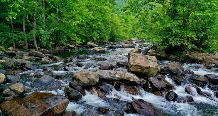 Hydrogeological Services